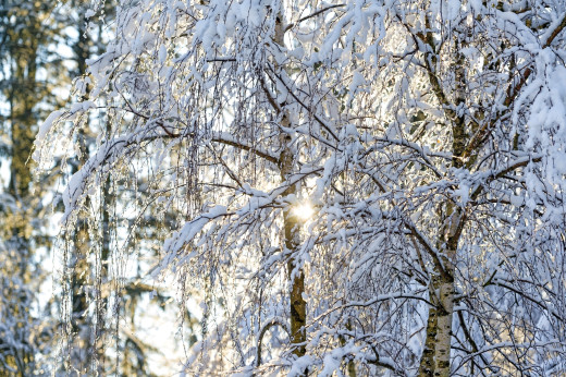 929572 (a): :2600x1728
